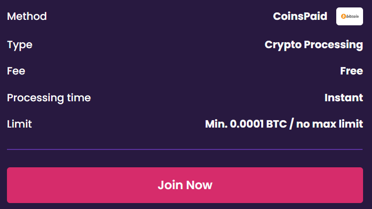 VegasNow Crypto Payment Options